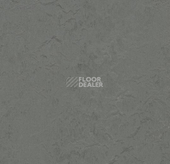 Кварцвиниловые полы Forbo Marmoleum Modular t3745 Cornish grey фото 1 | FLOORDEALER